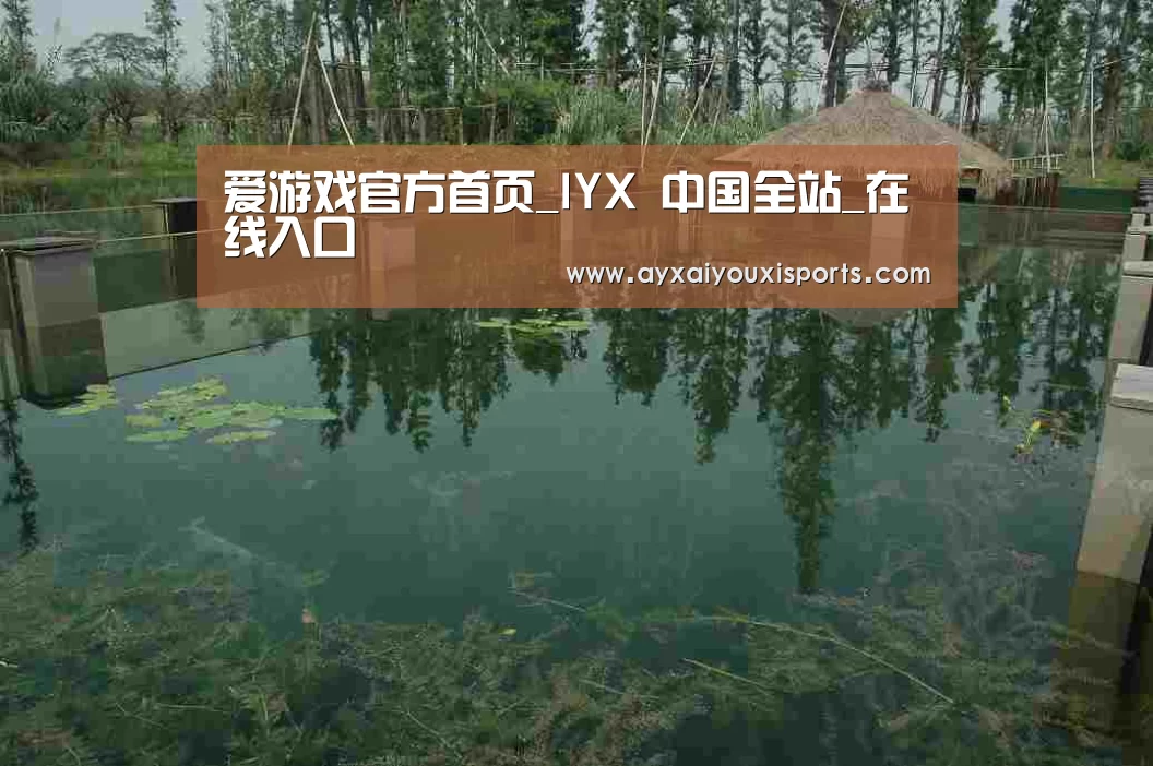 案例展示二(图1)