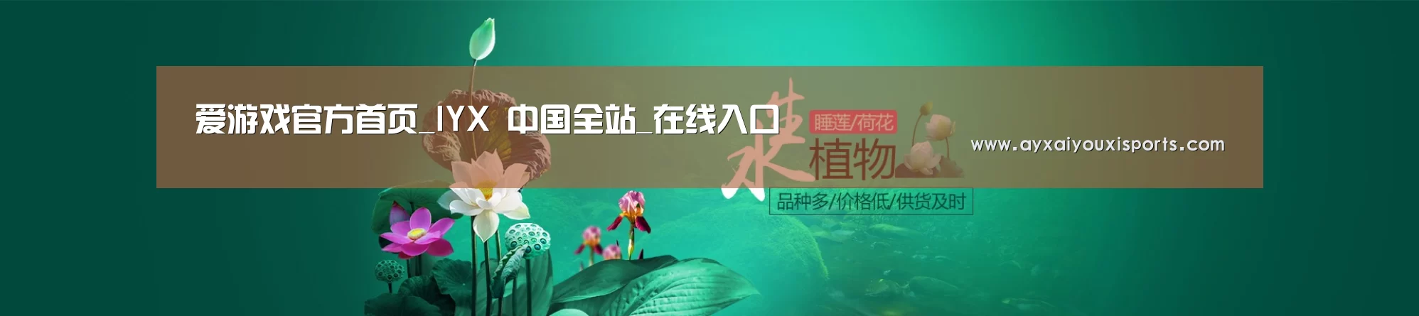 鲜花水草花卉网站模板