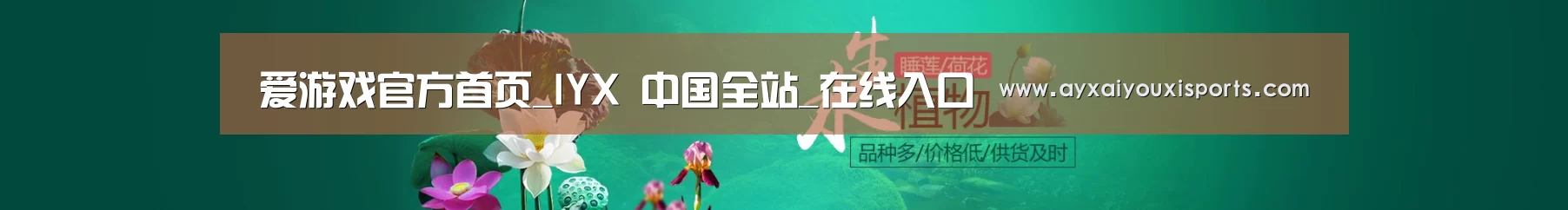 鲜花水草花卉网站模板