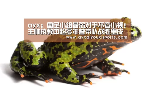 爱游戏全站